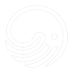 poulpemedia le logo ! en blanc