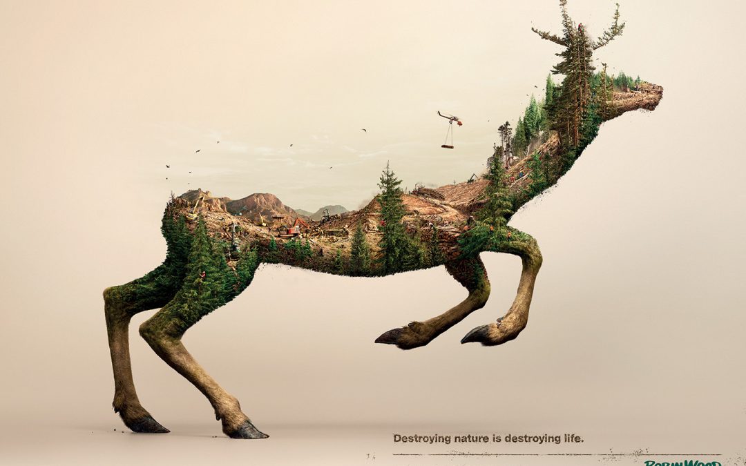 5 affiches publicitaires du moment…