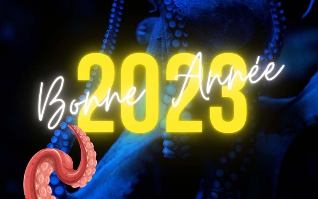 BELLE ANNÉE 2023