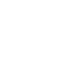 logo ai blanc 1