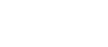 logo divi blanc 1